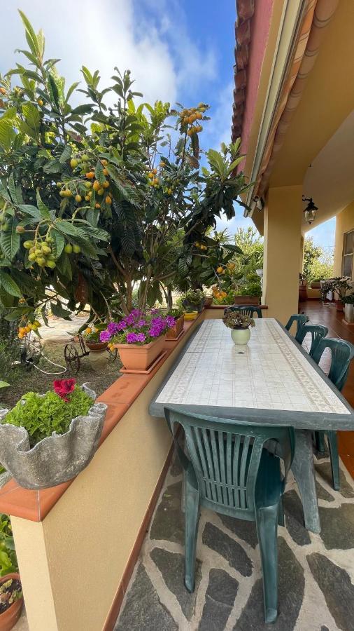 La Mansarda Bed & Breakfast Biancareddu Exterior photo