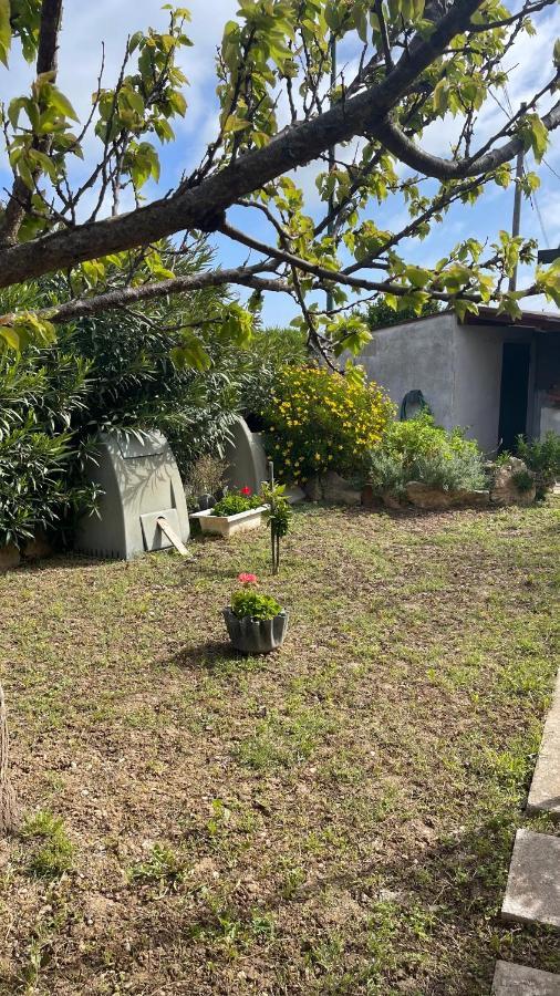 La Mansarda Bed & Breakfast Biancareddu Exterior photo